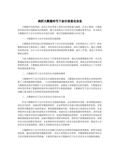 浅析大数据时代下会计信息化安全