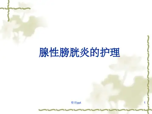 腺性膀胱炎的护理