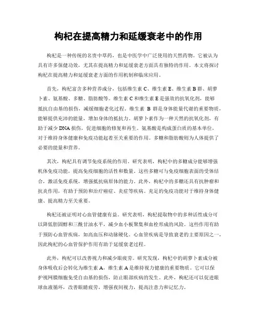 枸杞在提高精力和延缓衰老中的作用