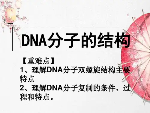 新版人教版高中生物《 DNA分子的结构》(共18张PPT)学习演示PPT课件