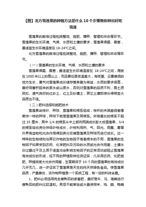【图】北方雪莲果的种植方法是什么10个步骤教你种出好吃雪莲