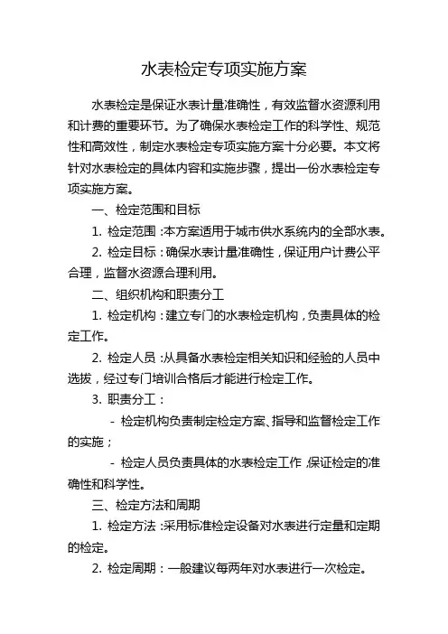 水表检定专项实施方案