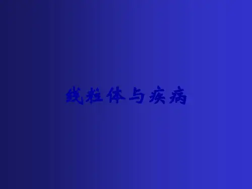 线粒体与疾病