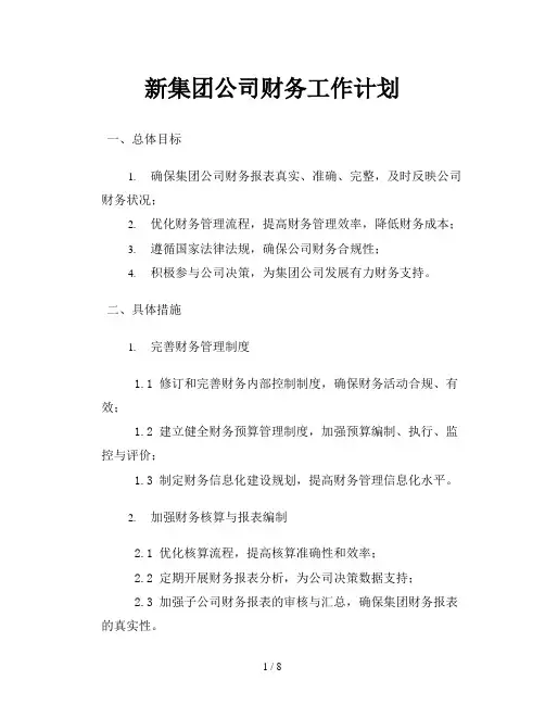 新集团公司财务工作计划