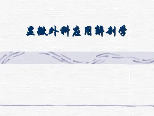 显微外科解剖学PPT医学课件