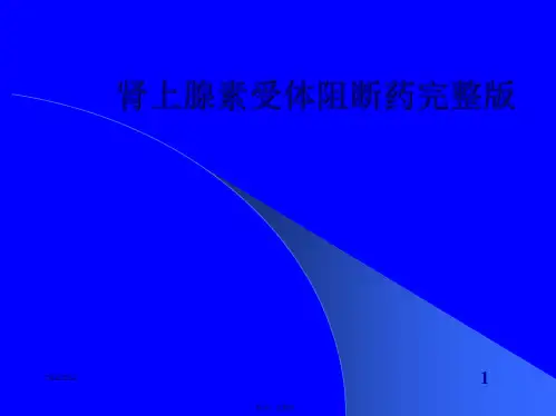 肾上腺素受体阻断药完整版