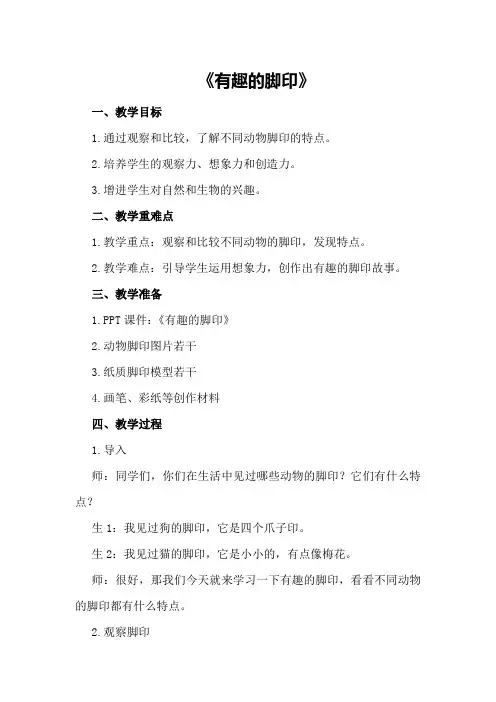 大班科学优秀教案及教学反思《有趣的脚印》