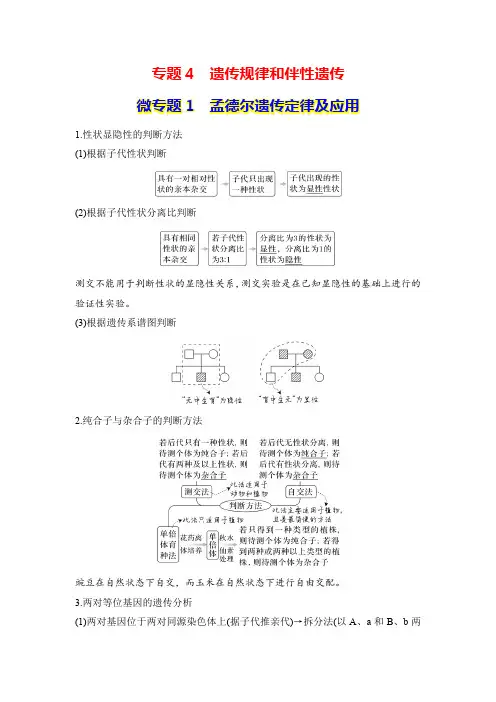 专题4 遗传规律和伴性遗传 微专题1 孟德尔遗传定律及应用