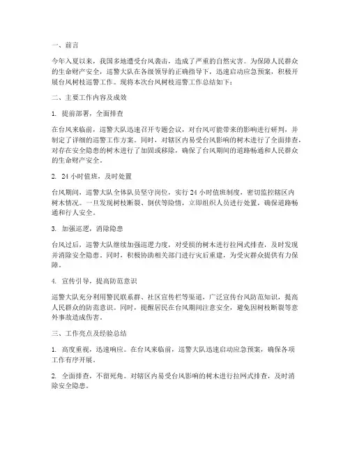 台风树枝巡警工作总结报告