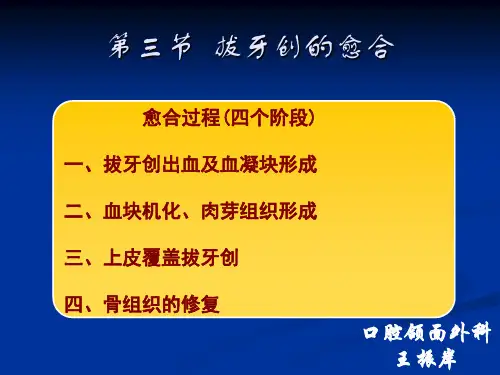 拔牙创出血及血凝块形成拔牙后山东大学