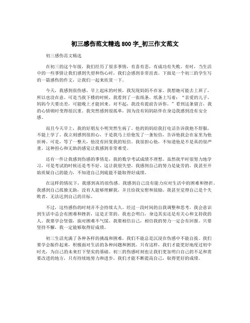初三感伤范文精选800字_初三作文范文