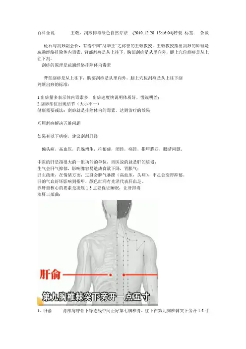百科全说王敬刮痧
