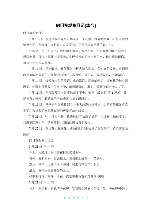 向日葵观察日记[集合]
