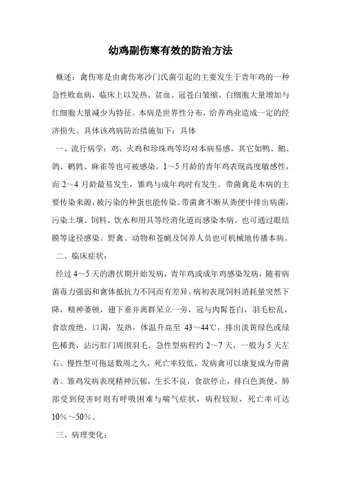 幼鸡副伤寒有效的防治方法.doc