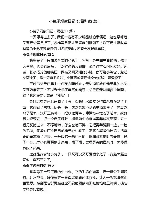 小兔子观察日记（精选33篇）