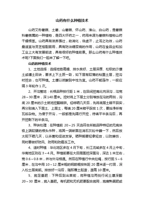 山药有什么种植技术
