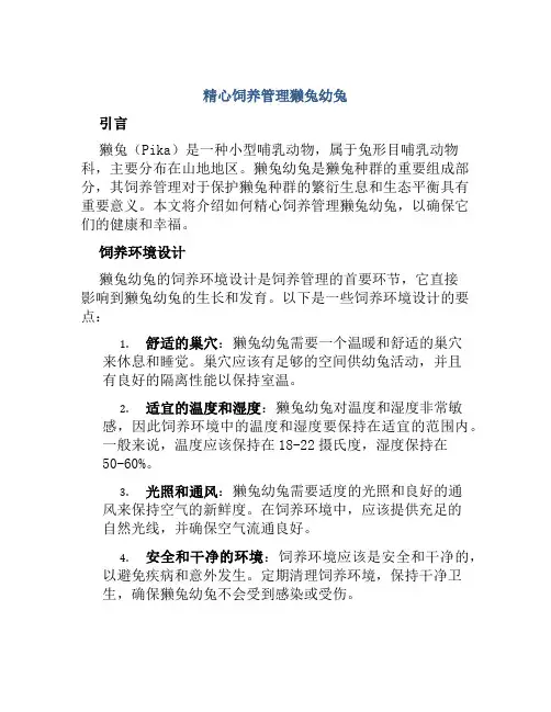精心饲养管理獭兔幼兔