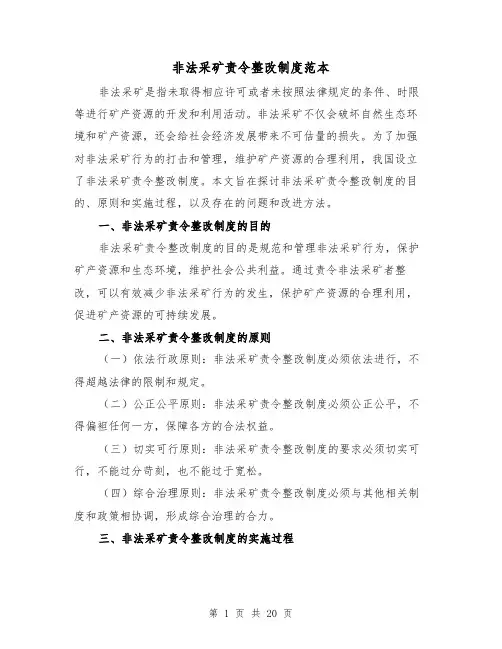 非法采矿责令整改制度范本（二篇）