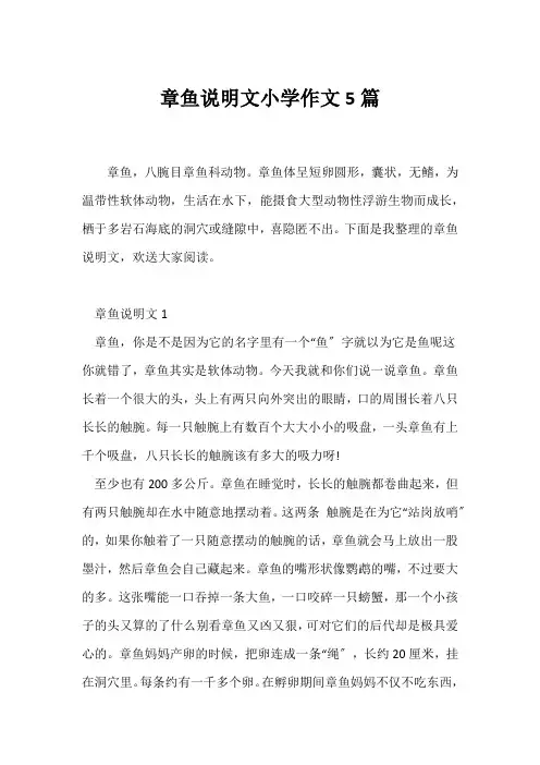 (说明文)章鱼说明文小学作文5篇