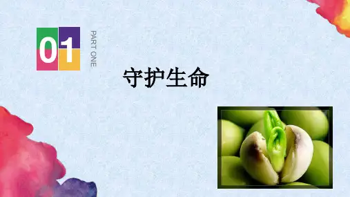 人教部版编七年级上册道德与法治： 守护生命