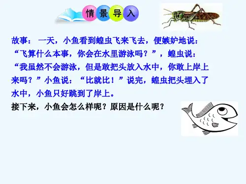 人教版八年级上册生物第一章第四节 鱼