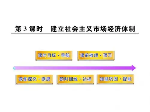 高中政治配套课件：5.3建立社会主义市场经济体制(人教版选修2)