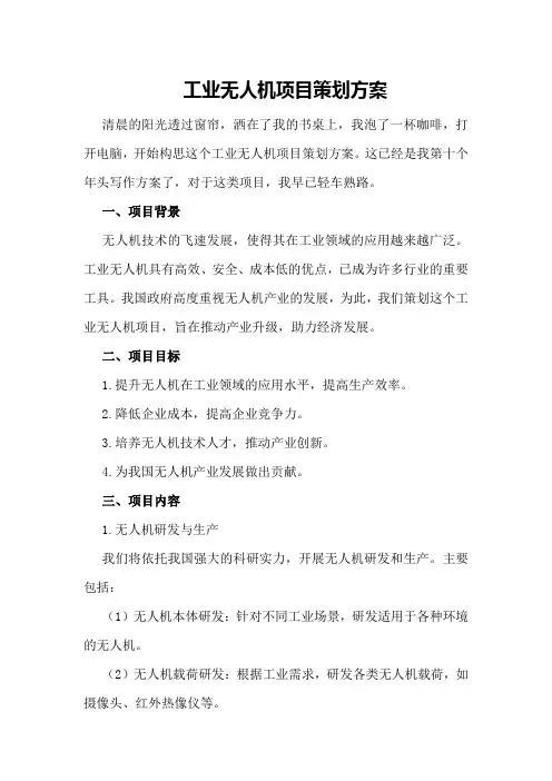 工业无人机项目策划方案