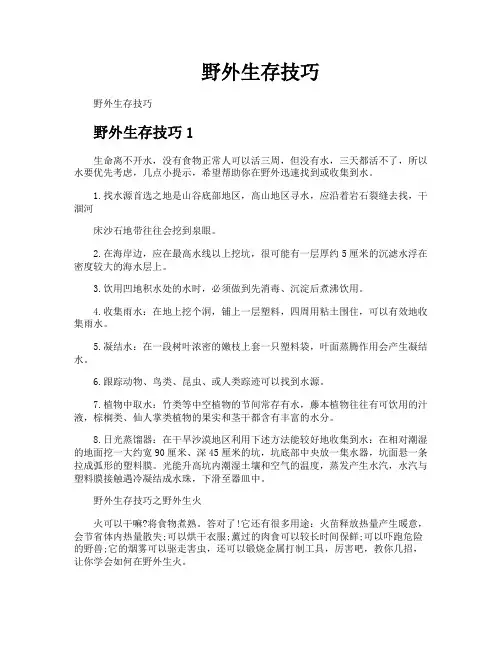 野外生存技巧