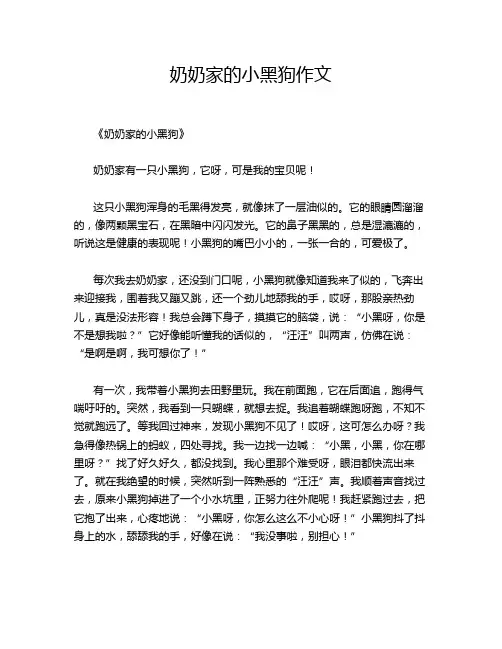 奶奶家的小黑狗作文