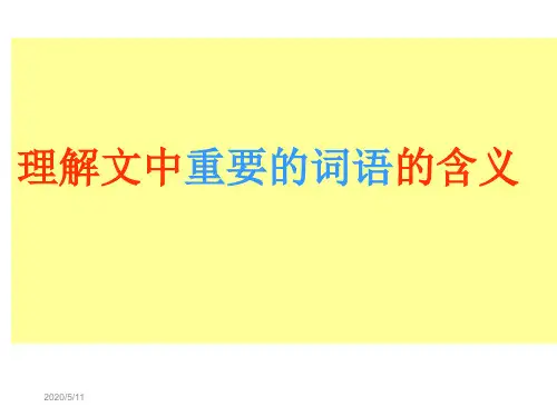 理解文中重要的词语的含义