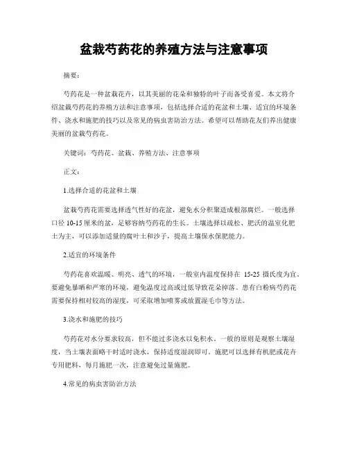 盆栽芍药花的养殖方法与注意事项