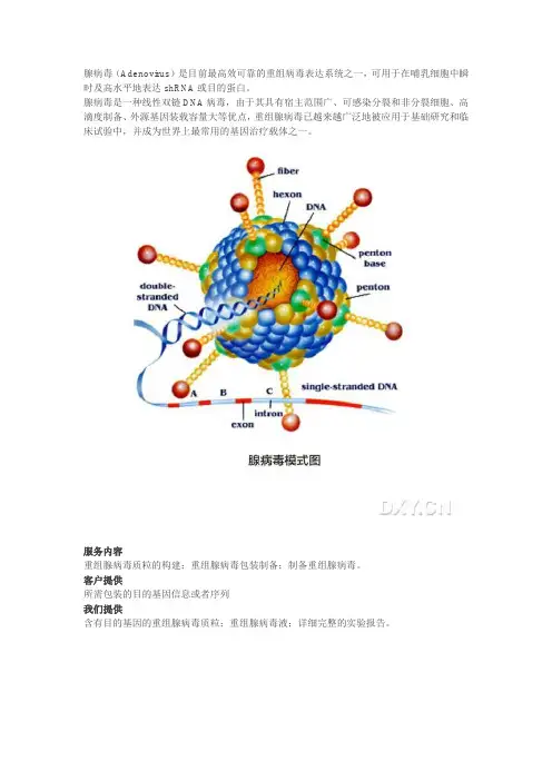 腺病毒包装