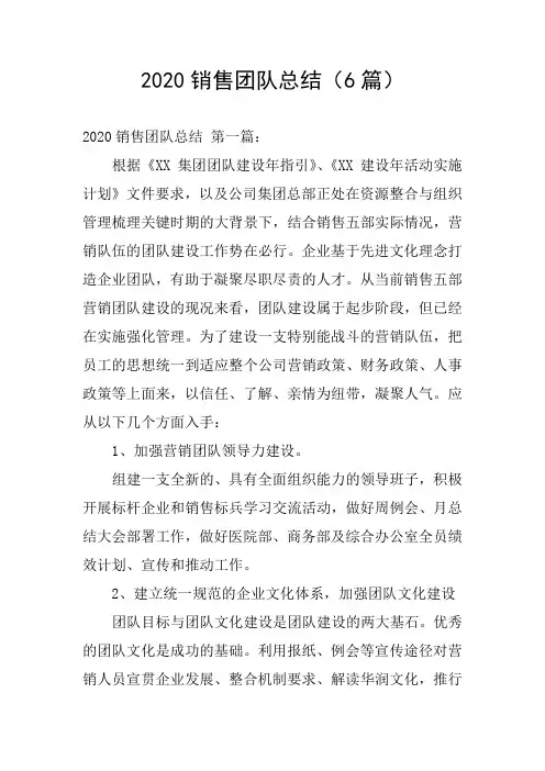 2020销售团队总结(6篇)