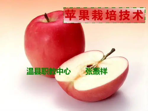 《苹果种植技术》PPT课件
