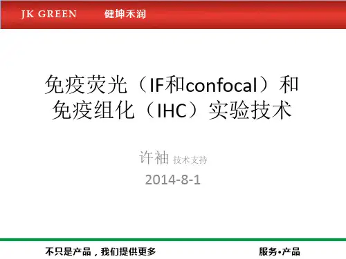 免疫荧光(IF和confocal)和免疫组化(IHC)