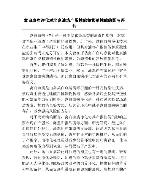 禽白血病净化对北京油鸡产蛋性能和繁殖性能的影响评估