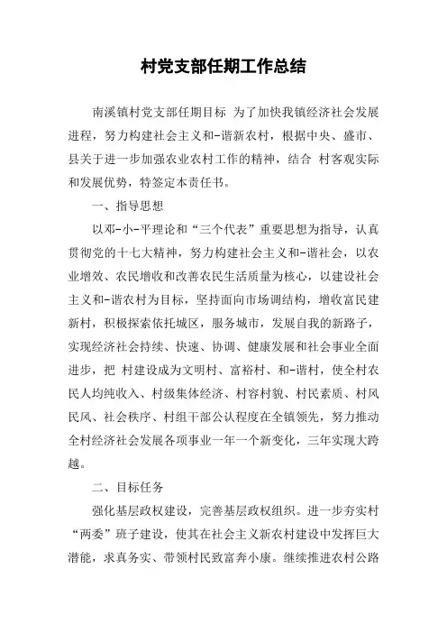 村党支部任期工作总结