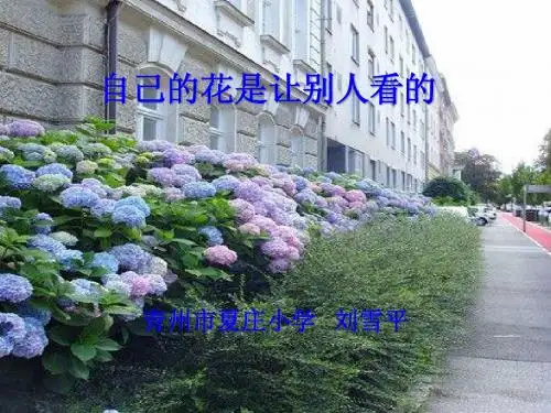 自己的花是让别人看的