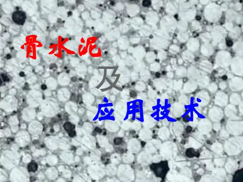 骨水泥及应用技术