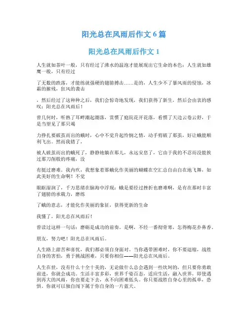 阳光总在风雨后作文6篇