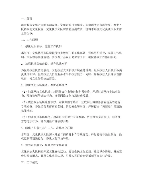 文化执法大队工作总结报告