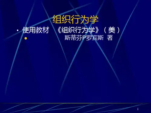 组织行为学PPT课件