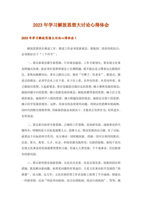 2023年学习解放思想大讨论心得体会