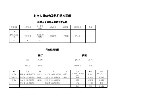 科室人员结构及组织结构图示
