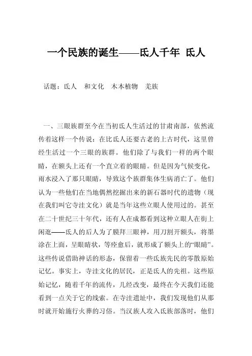一个民族的诞生——氐人千年氐人