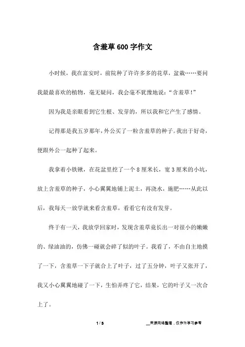 含羞草600字作文