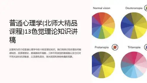 普通心理学(北师大精品课程)13色觉理论知识讲稿