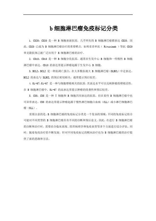 b细胞淋巴瘤免疫标记分类