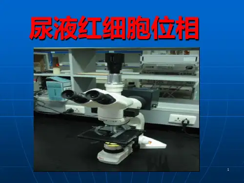 尿液红细胞位相PPT课件