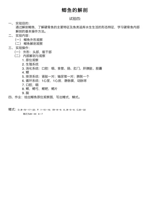 鲫鱼的解剖——精选推荐